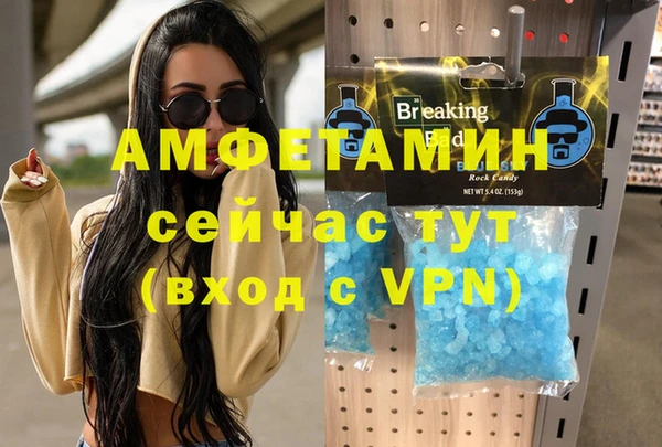 стаф Дмитров