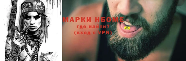 стаф Дмитров