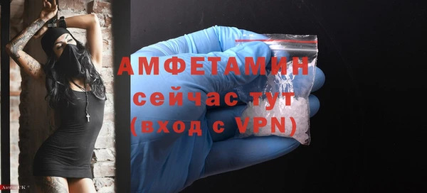 МДПВ Дмитриев
