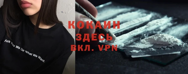 МДПВ Дмитриев