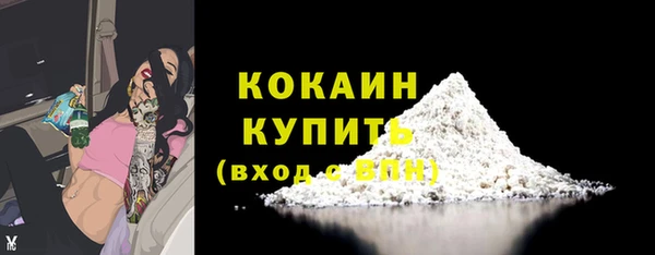МДПВ Дмитриев