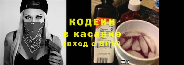 МДПВ Дмитриев