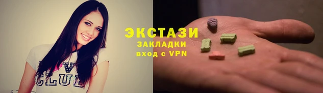 стаф Дмитров