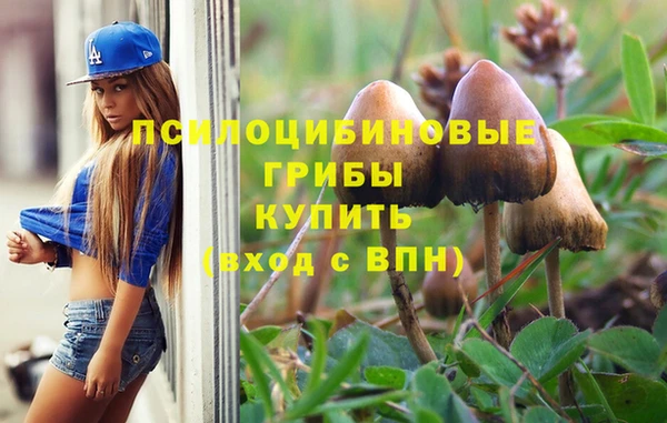 стаф Дмитров