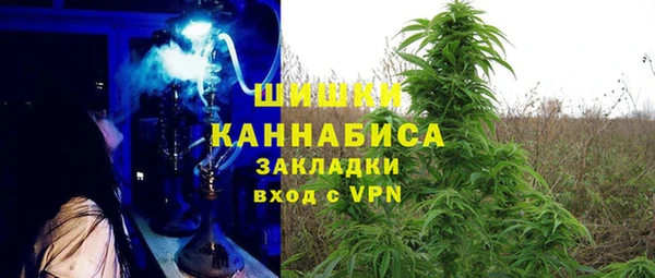 стаф Дмитров