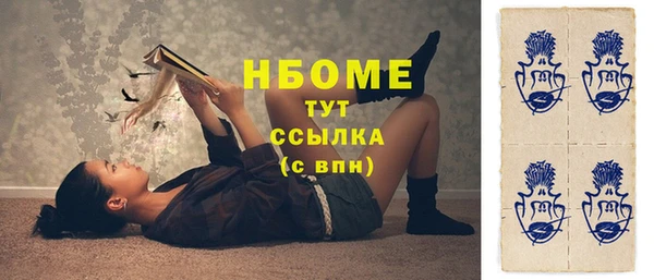 стаф Дмитров