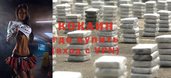 стаф Дмитров