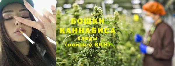 стаф Дмитров